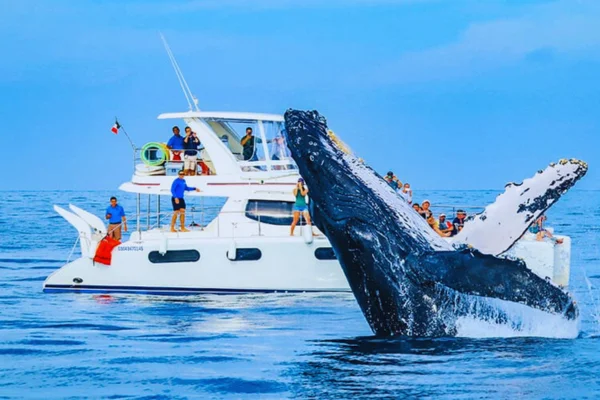 alquiler de yate en mancora
